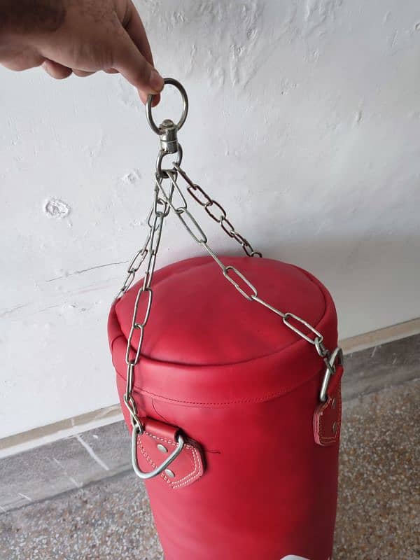 Apollo Punching bag Large 2