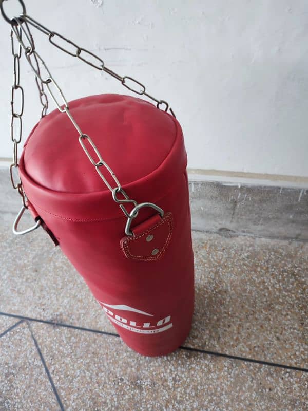 Apollo Punching bag Large 3