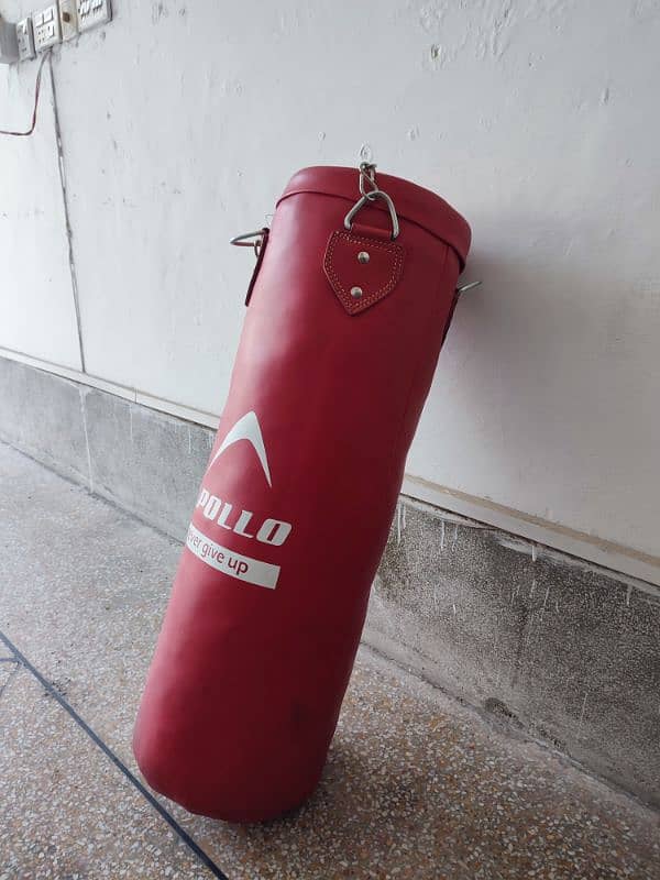 Apollo Punching bag Large 4