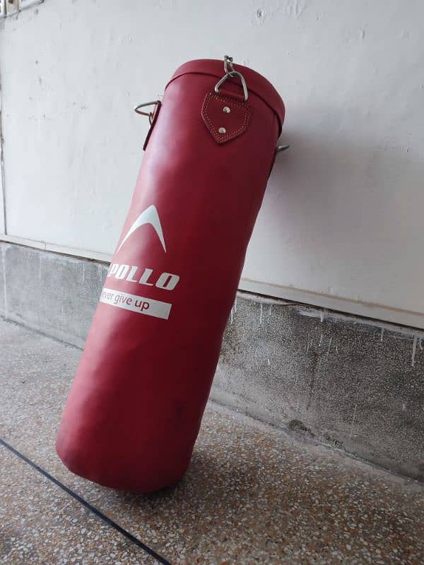 Apollo Punching bag Large 5