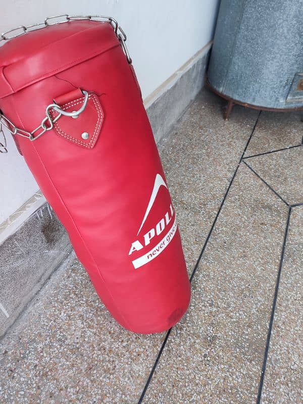 Apollo Punching bag Large 6