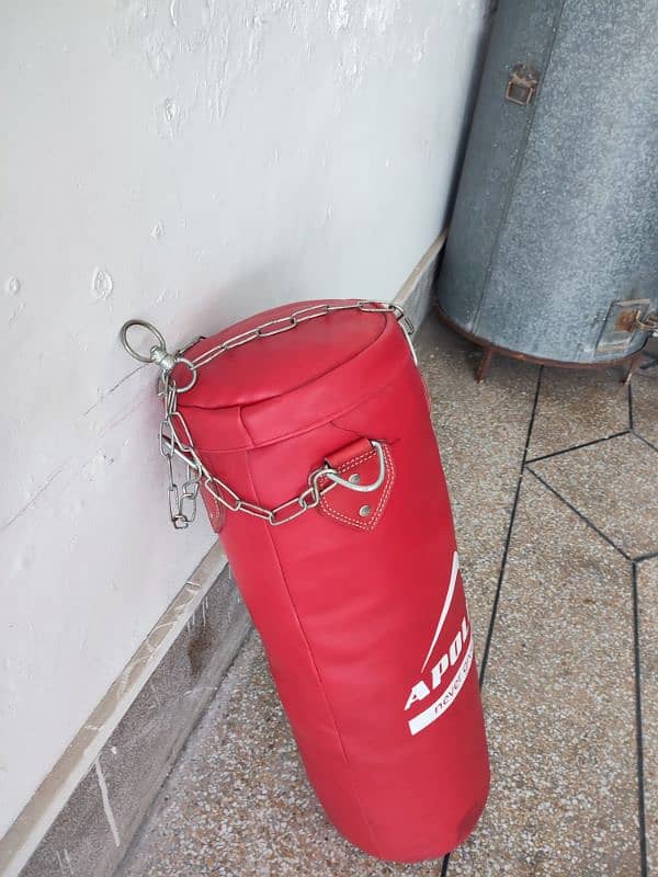 Apollo Punching bag Large 7