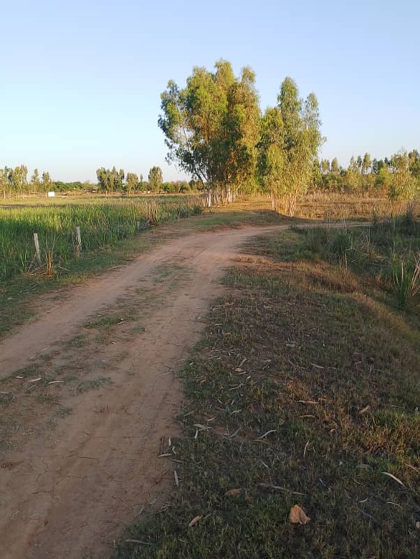 Agriculture land 220 kanal for sale in moza haraaj near check beli Khan Rawalpindi 2