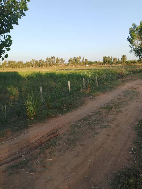 Agriculture land 220 kanal for sale in moza haraaj near check beli Khan Rawalpindi 3