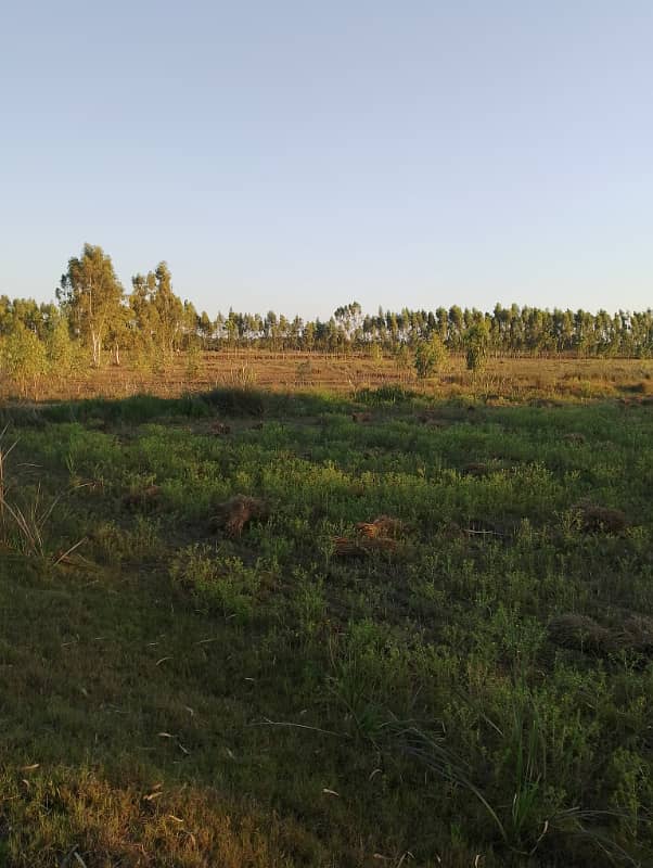 Agriculture land 220 kanal for sale in moza haraaj near check beli Khan Rawalpindi 4