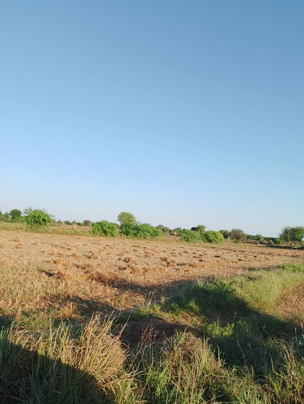 Agriculture land 220 kanal for sale in moza haraaj near check beli Khan Rawalpindi 7