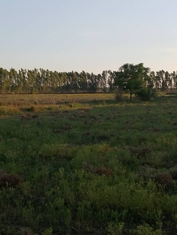 Agriculture land 220 kanal for sale in moza haraaj near check beli Khan Rawalpindi 8