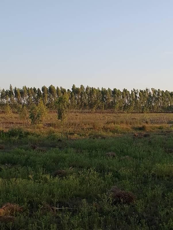 Agriculture land 220 kanal for sale in moza haraaj near check beli Khan Rawalpindi 9