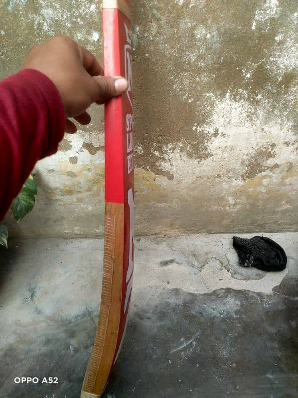 coconut bat for sale 4