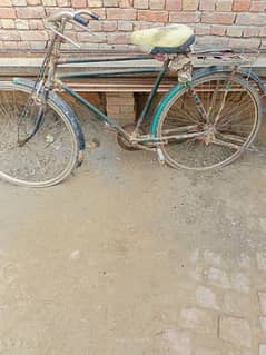 cycle for sale