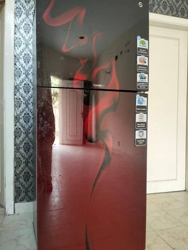 PEL Refrigerator Glass Door for sale 0