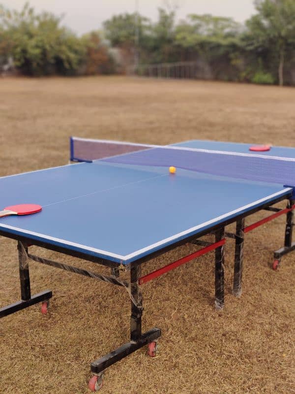 Table tennis table & All Accessories 12