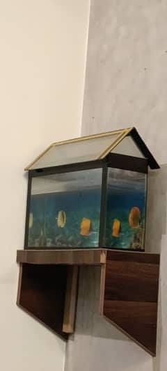 aquarium