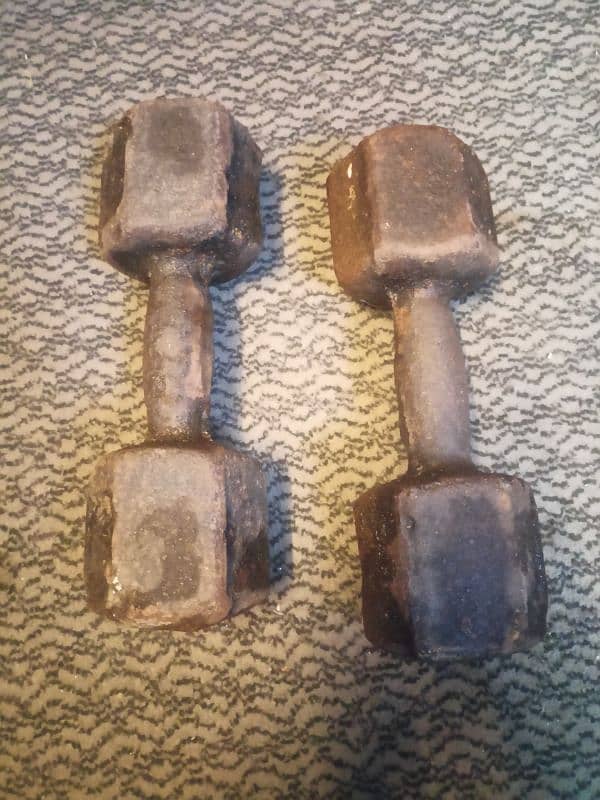 8kg Pair of Dumbbells 1