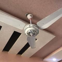 6 Ceiling Fan for Sale