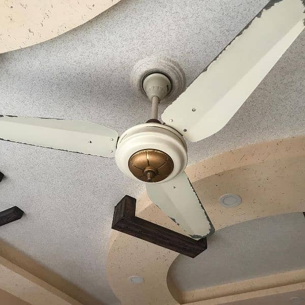 6 Ceiling Fan for Sale 1