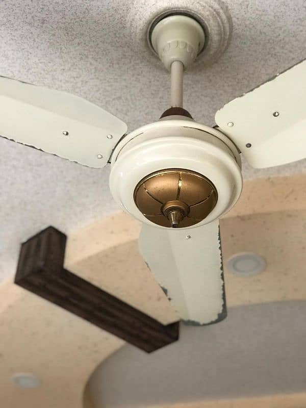 6 Ceiling Fan for Sale 2