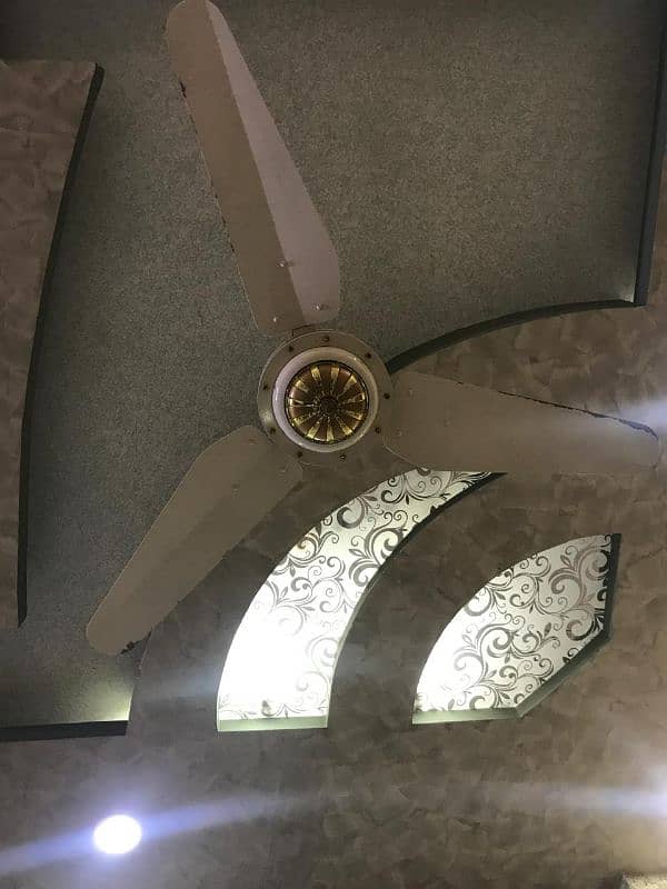 6 Ceiling Fan for Sale 3