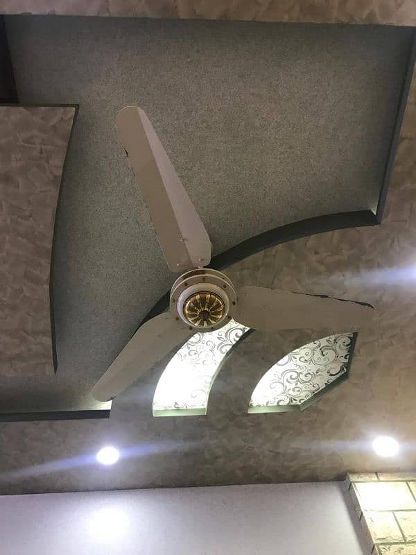 6 Ceiling Fan for Sale 5