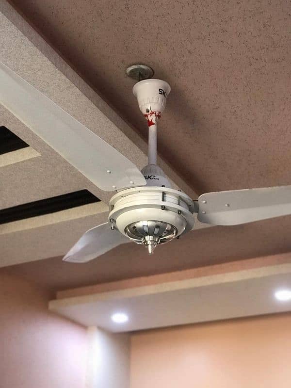 6 Ceiling Fan for Sale 16