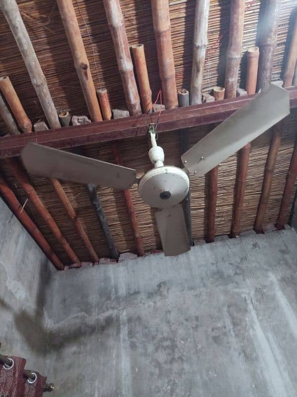 fan  for sale 1