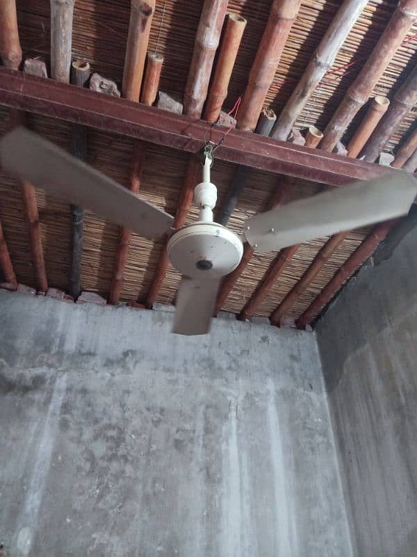 fan  for sale 3