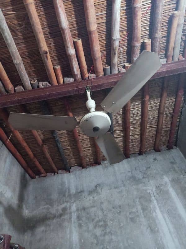 fan  for sale 4