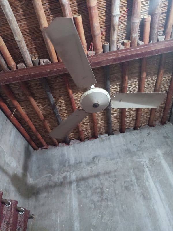 fan  for sale 5