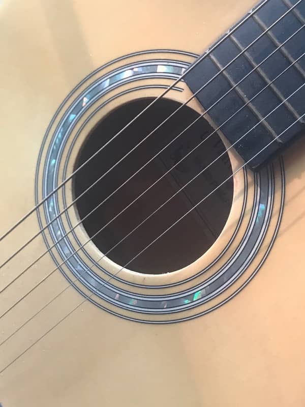 Acoustic Guitar [Martin Smith] 1