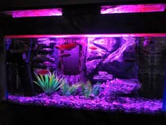 NEW 3D AQUARIUM FULL SETUP FOR SALE.