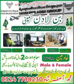 Hiring Saudia , jobs in Saudia , Company Visa , Vacancy / 03247788230