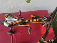 Kids Bike