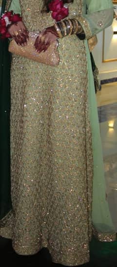 Walima Maxi