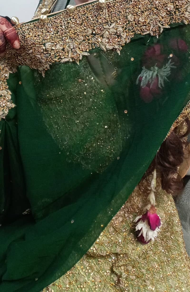 Walima Maxi 1