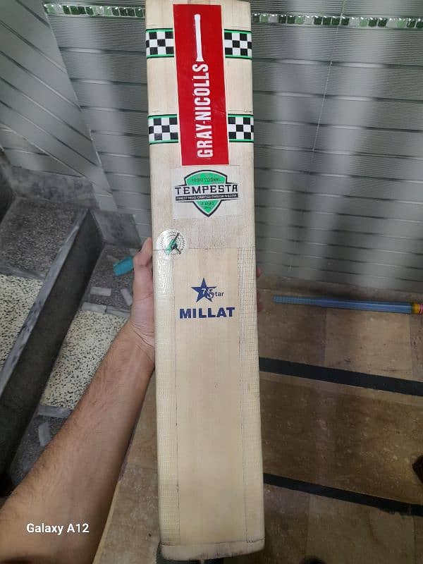 Gray nicolls Hard ball bat 2