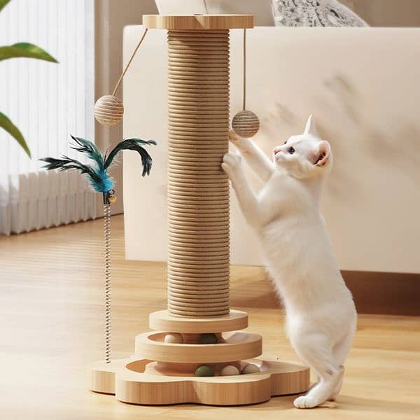 Cat Scratcher Post. 1