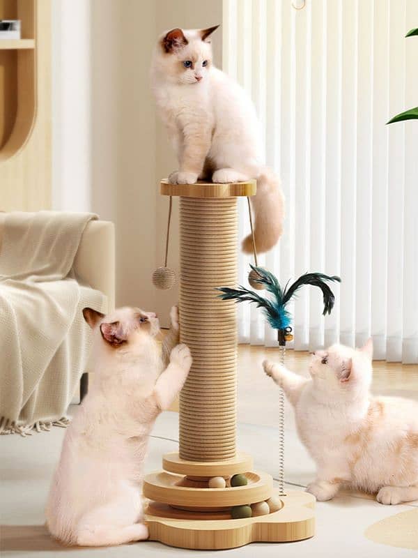 Cat Scratcher Post. 2