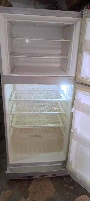 PEL Fridge 1