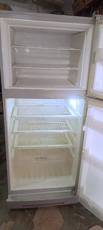 PEL Fridge 2