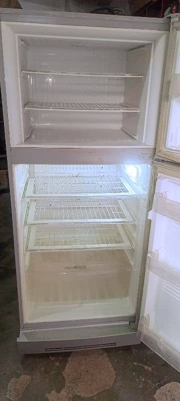 PEL Fridge 3