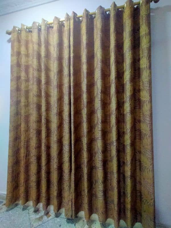 Silk Georgette Curtains 1