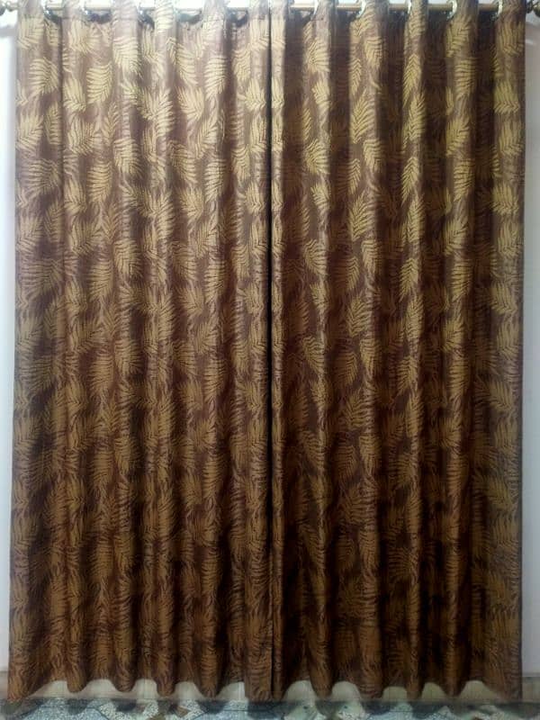 Silk Georgette Curtains 2