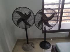 Stand Fan