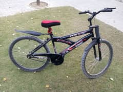 Sony bicycle