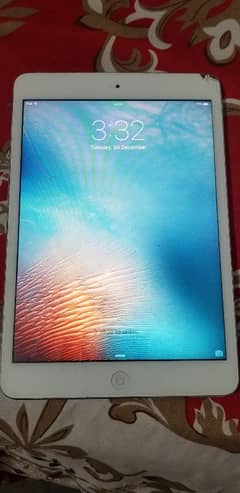 I pad 1 mini