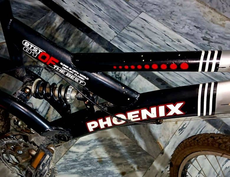 Phoenix Bicycle 5