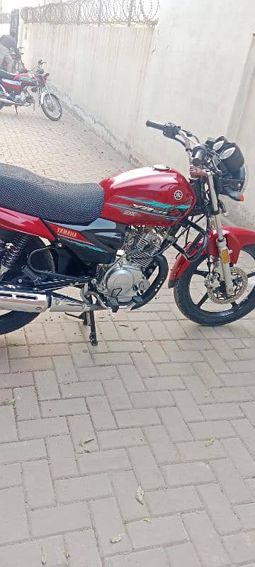 Yamaha yb125z DX 2023 model 1