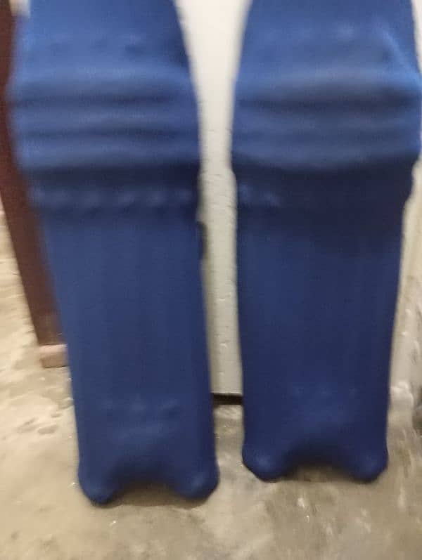 Cricket Pads 2