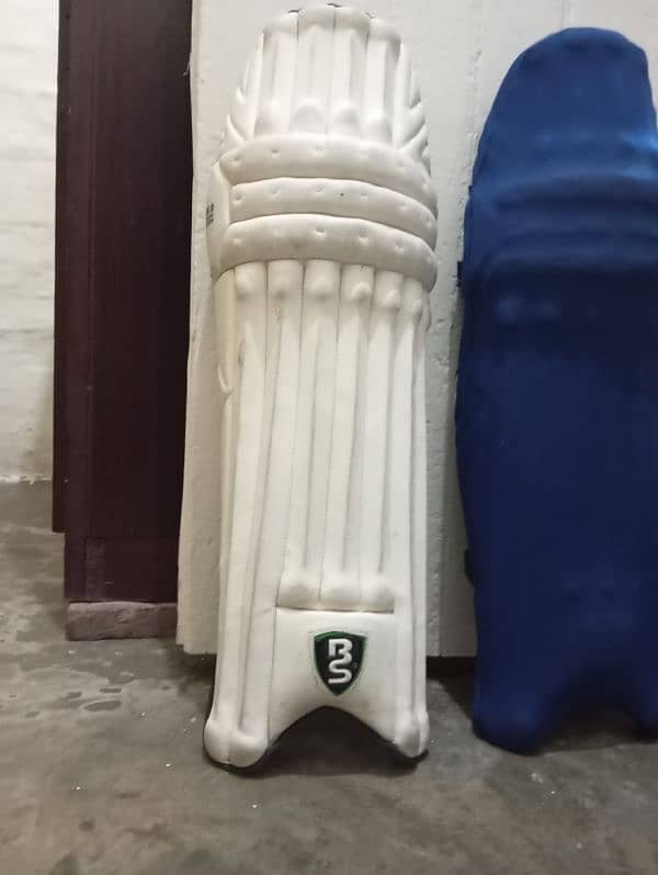 Cricket Pads 4