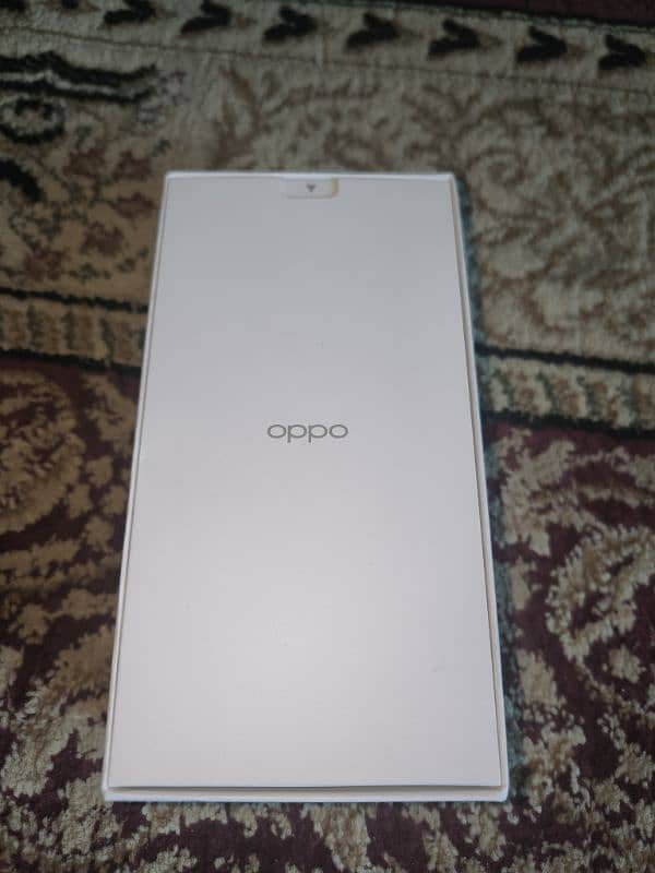 Oppo Reno 11F 5G 1